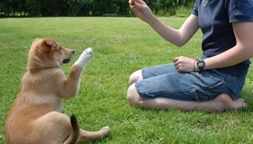 Korzyści ze stosowania metody